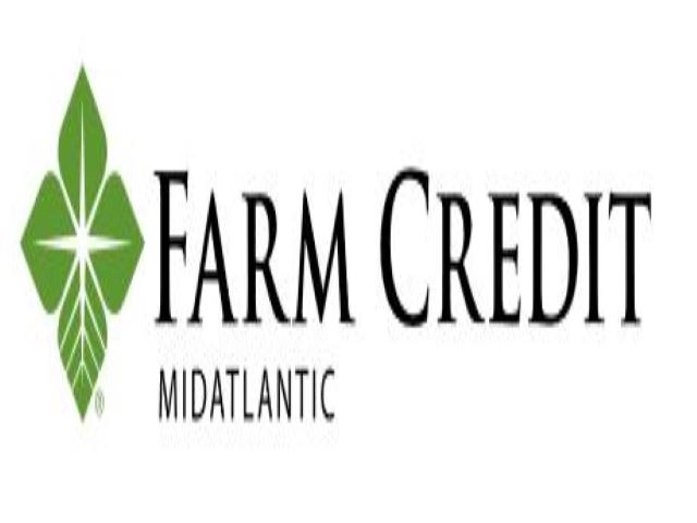payday loans with no
